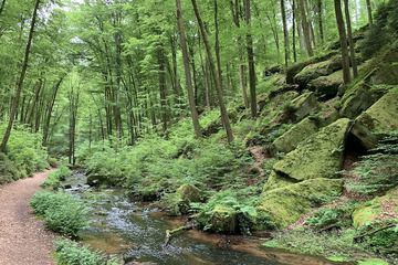 Hiking