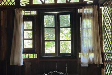 Photo 50