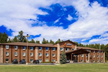 Comfort Inn & Suites Custer