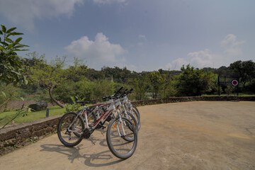 Bicycling