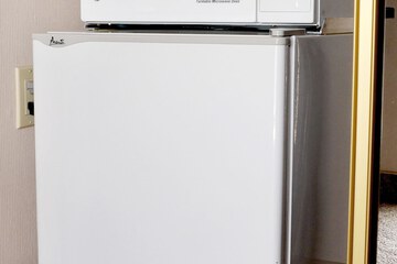 Mini-refrigerator