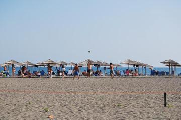 Photo 33