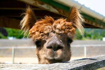 Property Grounds 37 of 37