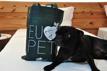 Pet-friendly