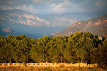 Mountain view
