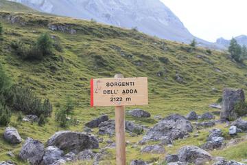 Photo 30