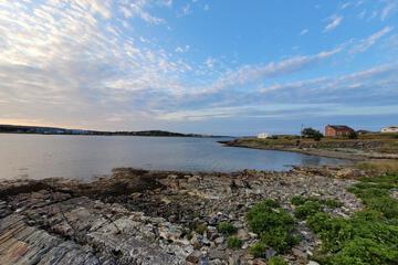 Photo 50