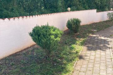 Photo 52