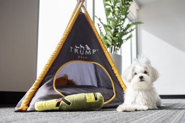 Pet-friendly amenities