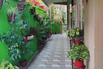 Photo 23