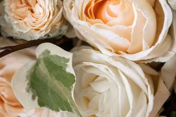 Indoor wedding