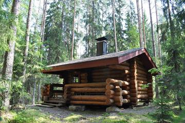 Photo 61