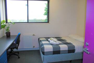 Photo 6