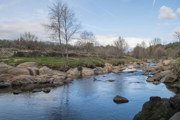 Natural pool