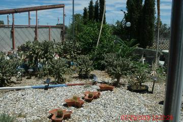 Photo 52