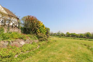 Photo 44