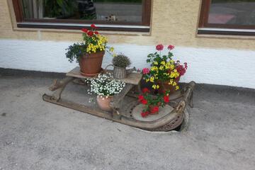 Photo 73