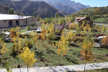 Photo 45