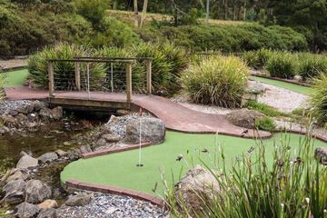 Mini-golf