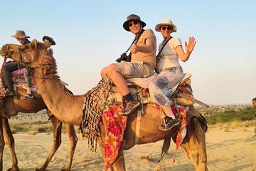 Safari