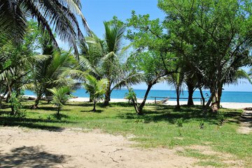 Photo 24