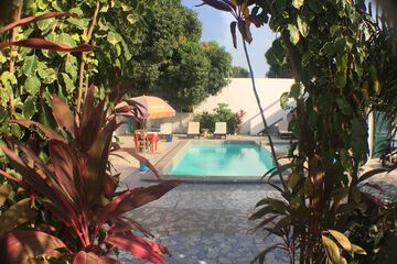 Garden view