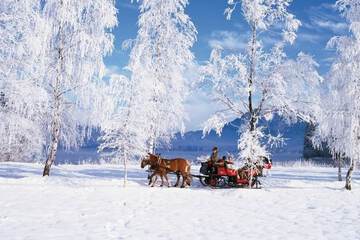 Snow and ski sports