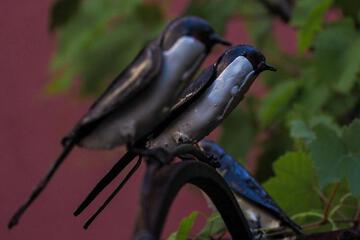 Photo 40