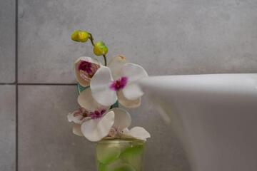 Photo 52