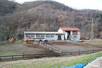 Sports facility