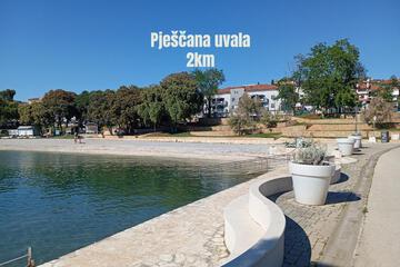 Photo 39