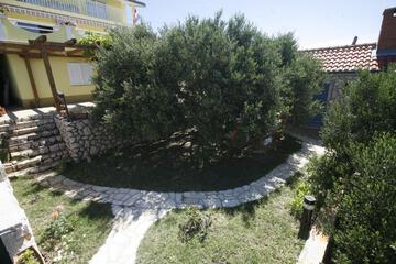 Photo 37