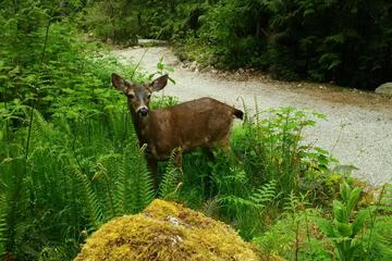 Photo 24