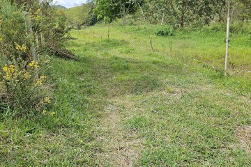 Hiking
