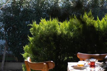 surroundings
