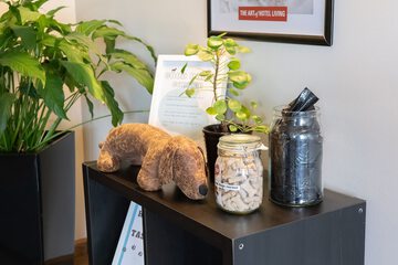 Pet-friendly