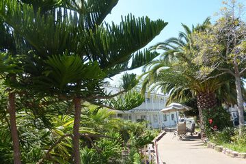 Property Grounds 64 of 65