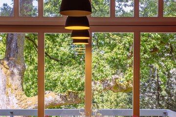 Land view from property