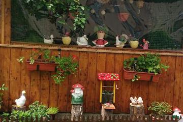 Photo 24