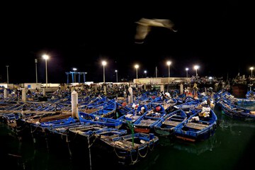 Marina