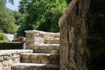 Photo 50