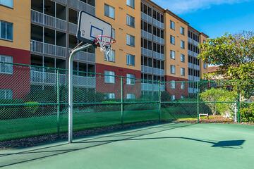 Basketball court