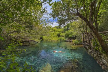 Natural pool