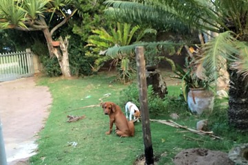 Photo 27