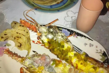 meal
