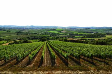 Winery