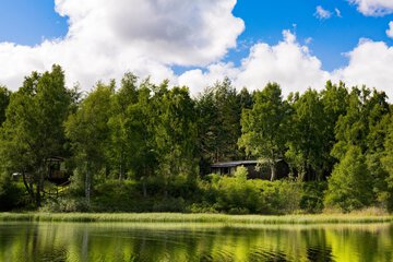Lake view
