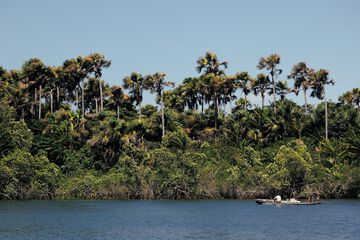 Lake