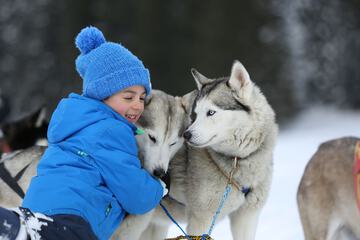Sledding