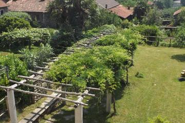 Photo 28